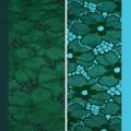 Кружевное полотно стрейч цветы зеленое ш.146 оптом