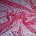 Сетка розово-малиновая с серебристыми пайетками ш.150 оптом