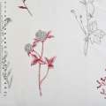 Батист тюль деворе гілки і квіти бордово-сірі, білий, ш.280 оптом