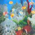 Картина акваріум з підсвічуванням 60х70 см корали білі оптом