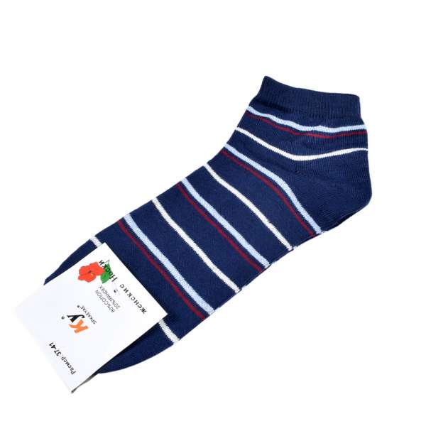 Шкарпетки сині в біло-блакитну смужку (1пара) оптом