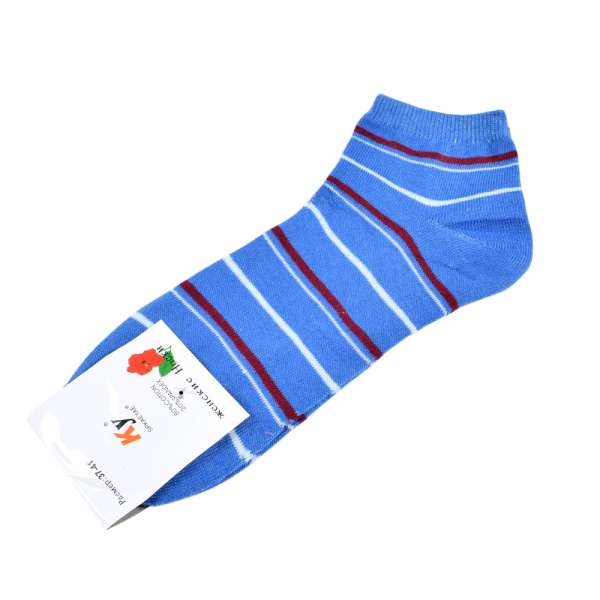 Шкарпетки блакитні темні в бордово-блакитну смужку (1пара) оптом