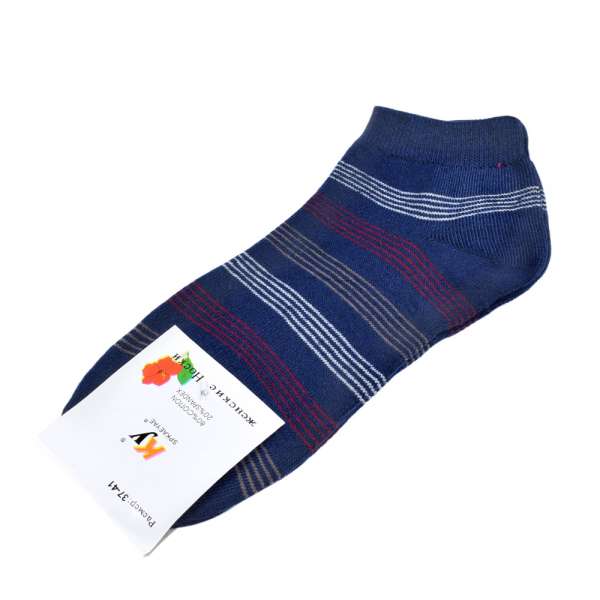 Шкарпетки сині в біло-бордову смужку (1пара) оптом